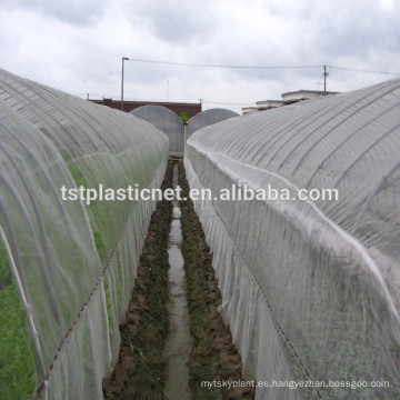 red de insectos de la agricultura para el cultivo en túneles